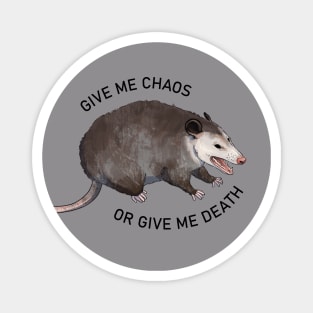 Chaotic Screaming Possum Magnet